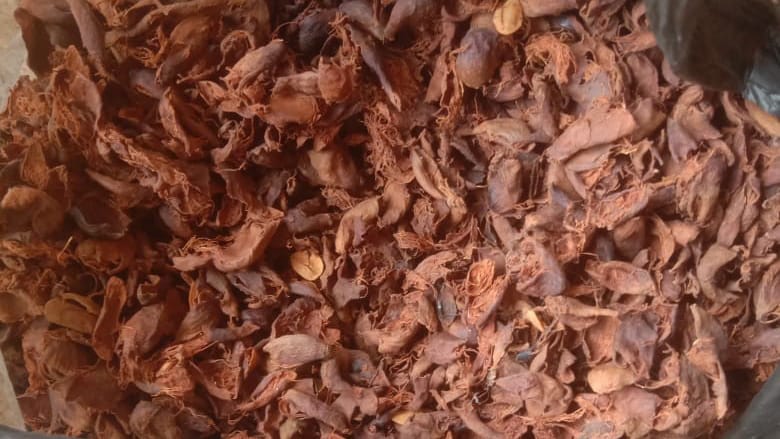 teh-kaskara-kering