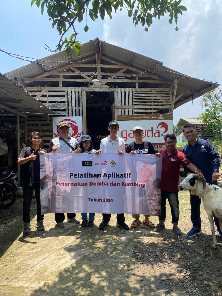 pelatihan-domba-dan-kambing-kmm