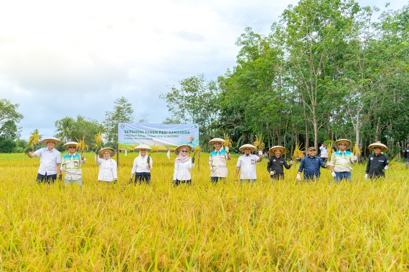 Panen-Padi-Gamagora-Ponpes-Miftahul-Ulum-Tabalong